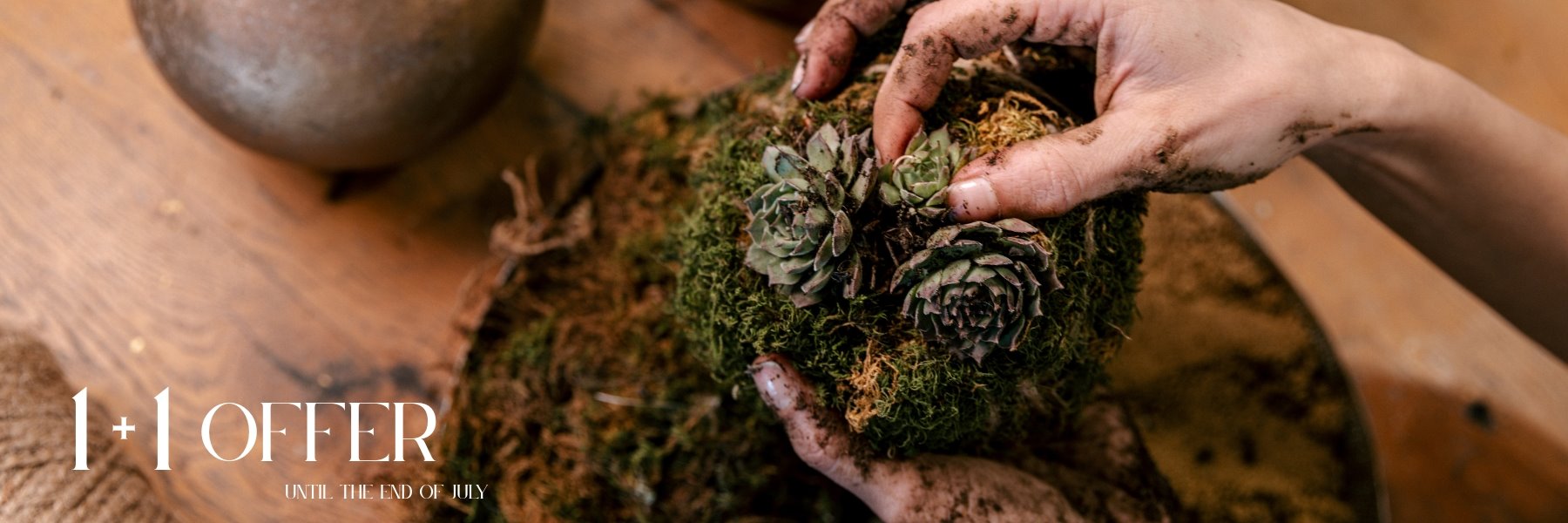 Kokedama Workshop