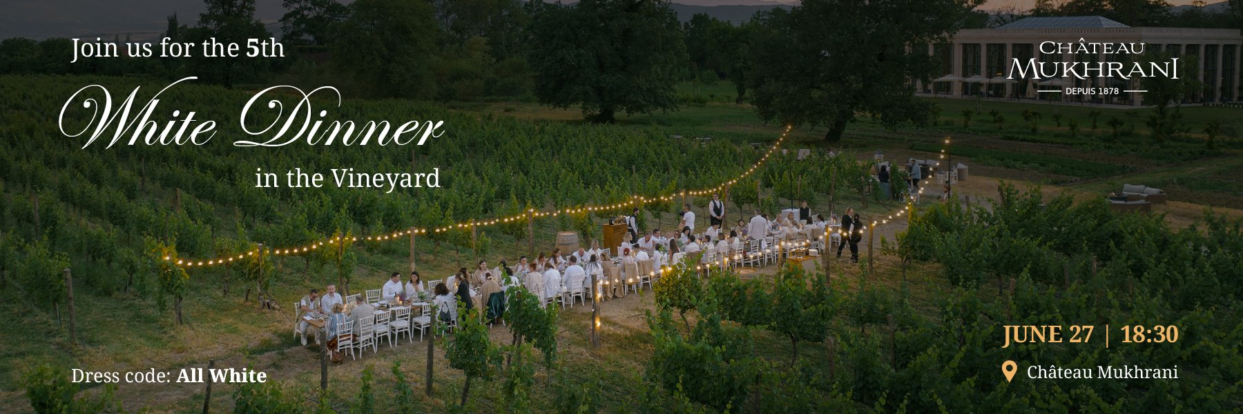White Dinner in the Vineyards
